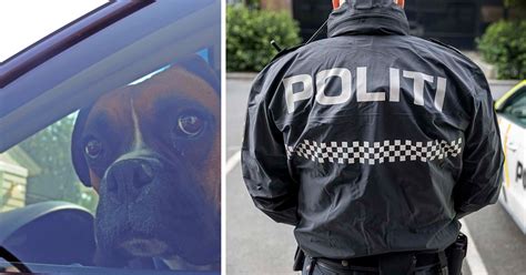 hund i politiet